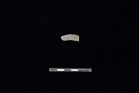 陶環藏品圖，第2張